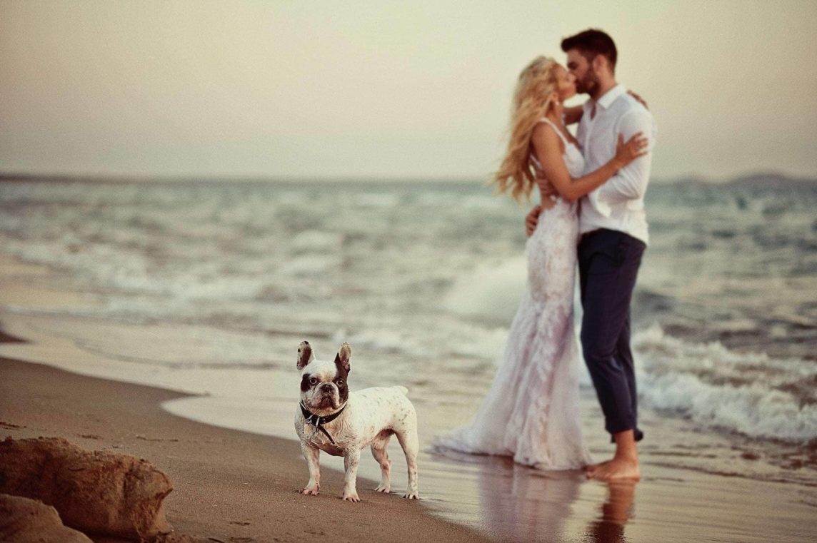 lestelle events mykonos weddings greece